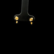 Zarcillos angelito