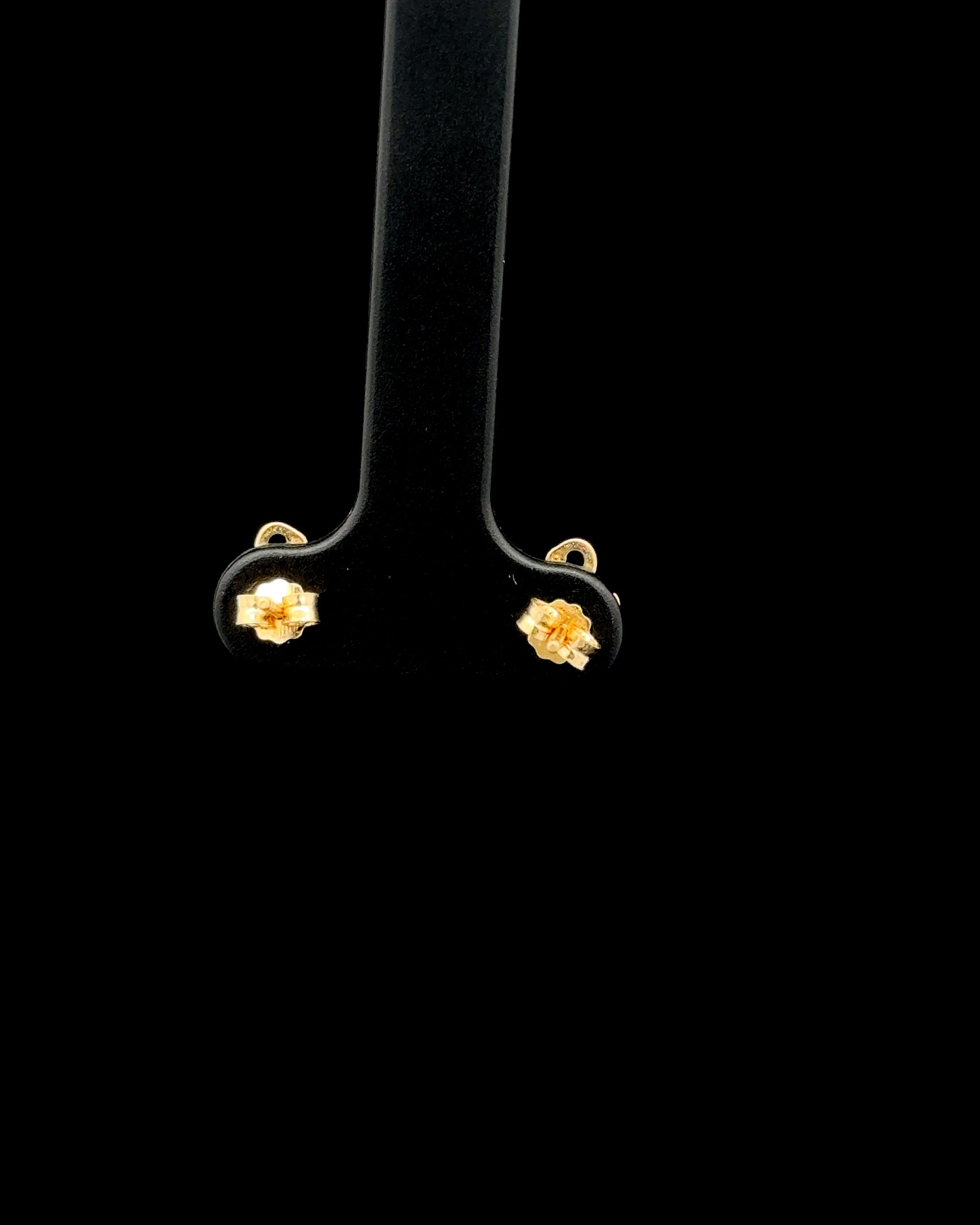 Zarcillos Cisne