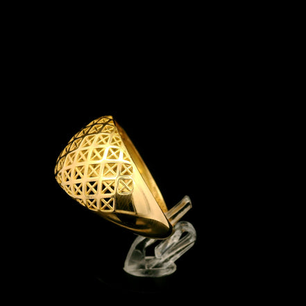 Anillo domo 8