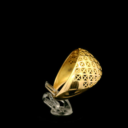Anillo domo 8