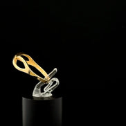 Anillo infinito 7