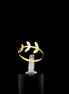 Anillo espiga 7