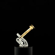Anillo Jesús 7
