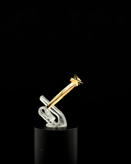 Anillo Jesús 7
