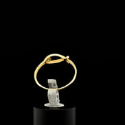 Anillo Jesús 7