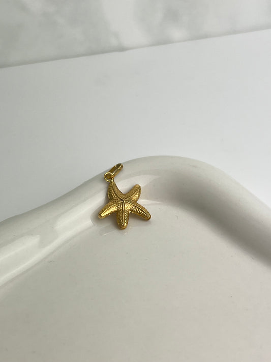 Dije estrella marina