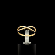 Anillo infinito 7