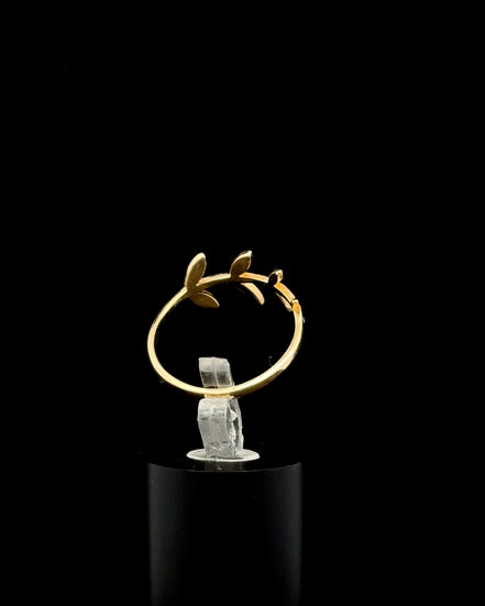 Anillo espiga 7