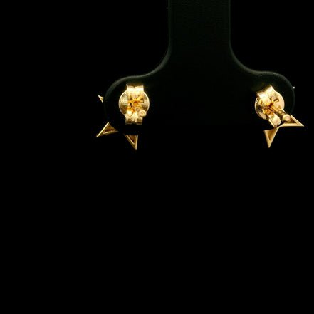 Zarcillos estrella