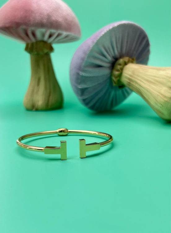 Esclava Tiffany 18