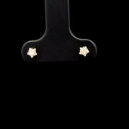 Zarcillos estrella brillante