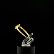 Anillo Jesús 7