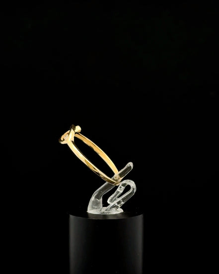 Anillo Jesús 7