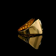 Anillo  sello Caballo 11