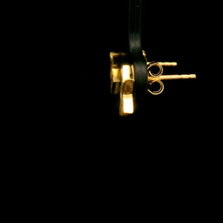 Zarcillos estrella