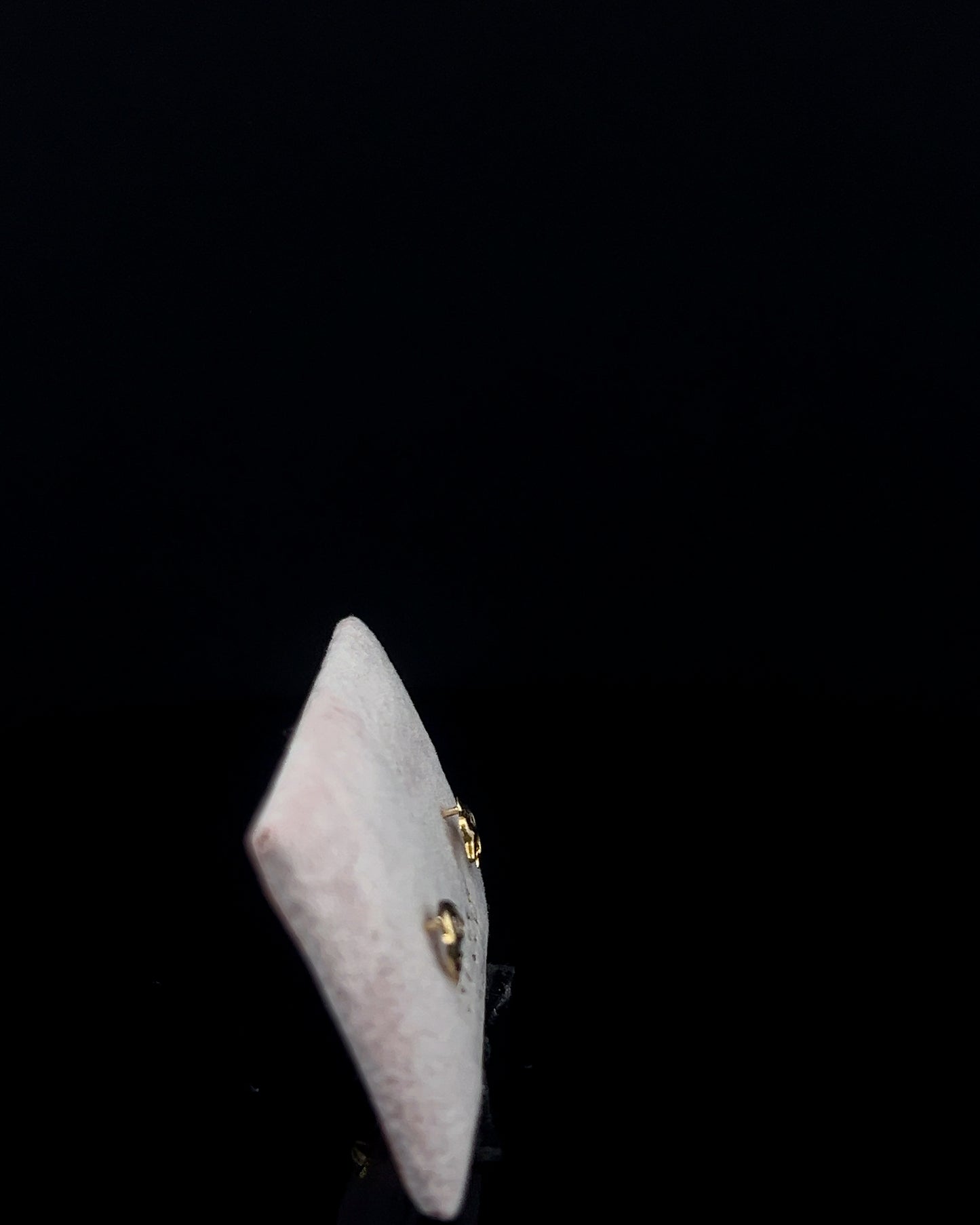 Zarcillos abridores Delfín