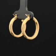 Argollas snake