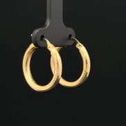 Argollas snake