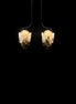 argollas Concha