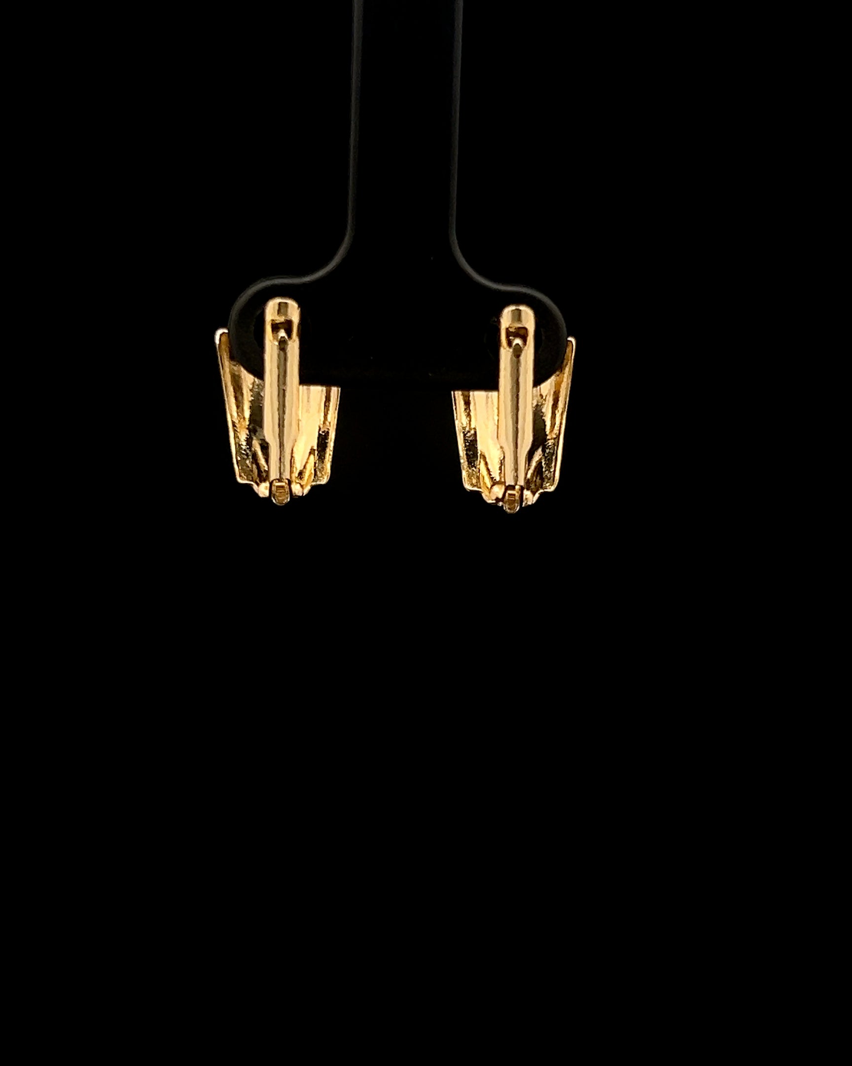 argollas Concha