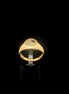 Anillo Sello 10