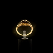 Anillo Sello 10