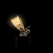 Anillo panal 8