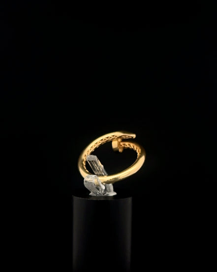 Anillo clavo 7