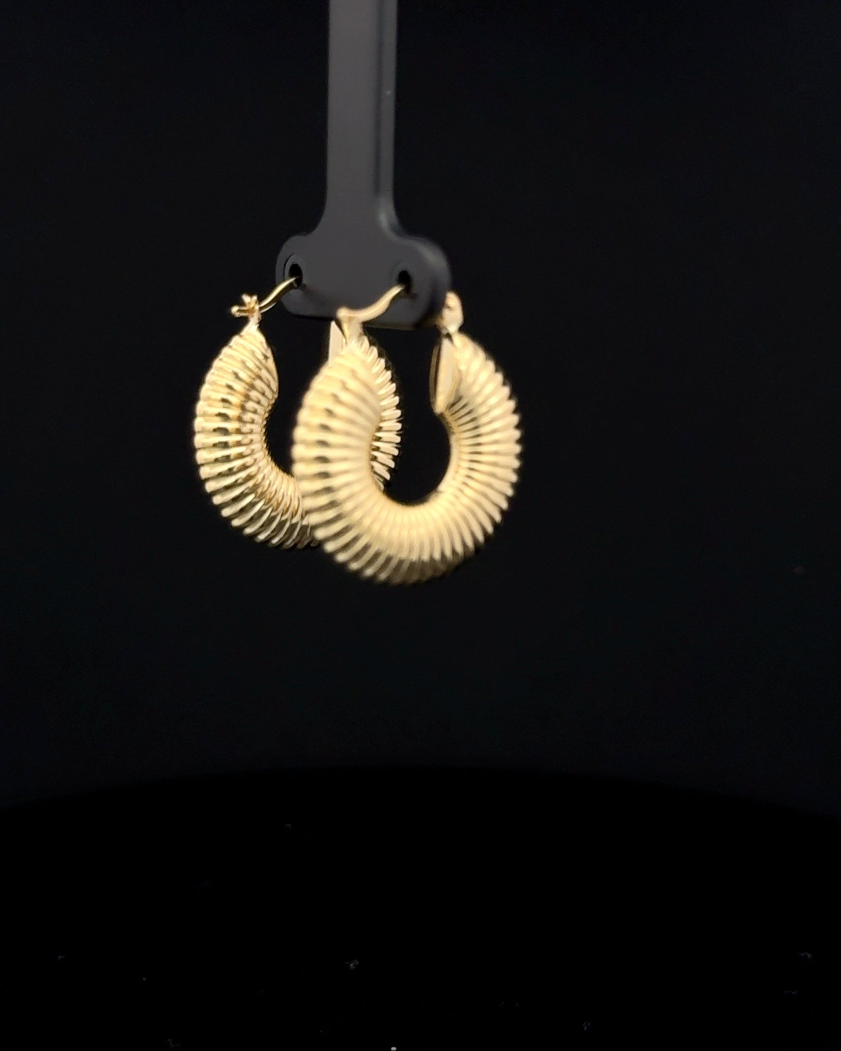 Argollas Caracol