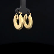 Argollas Caracol