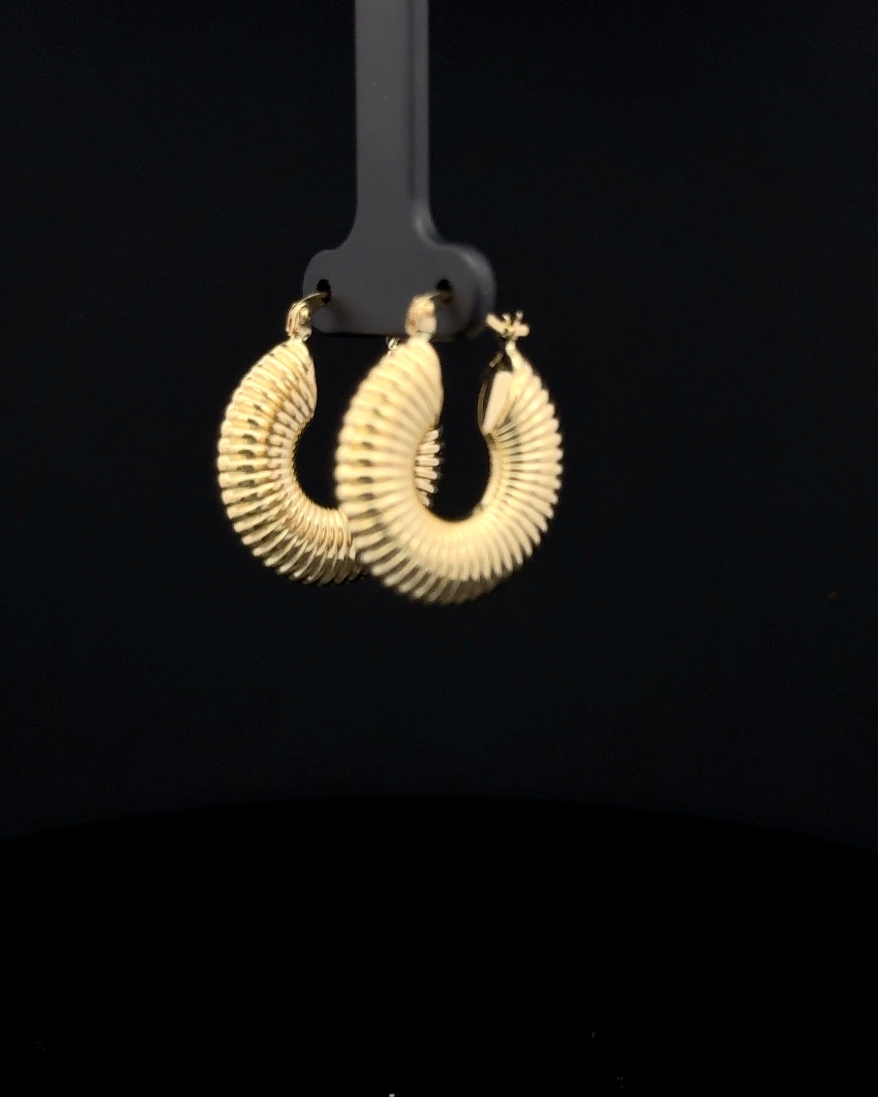 Argollas Caracol